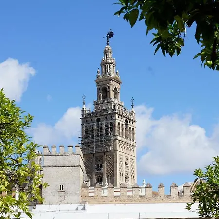 Pensión Perez Montilla Sevilla